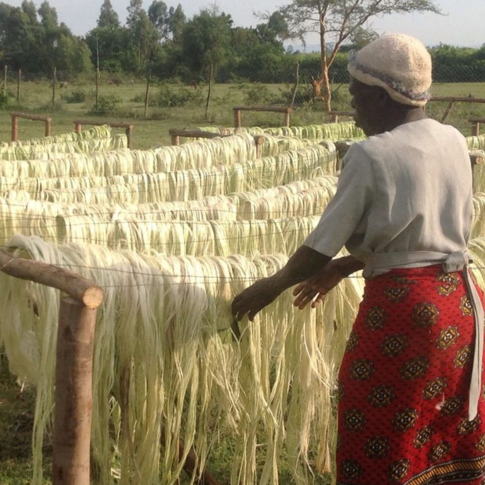 woman and sisal